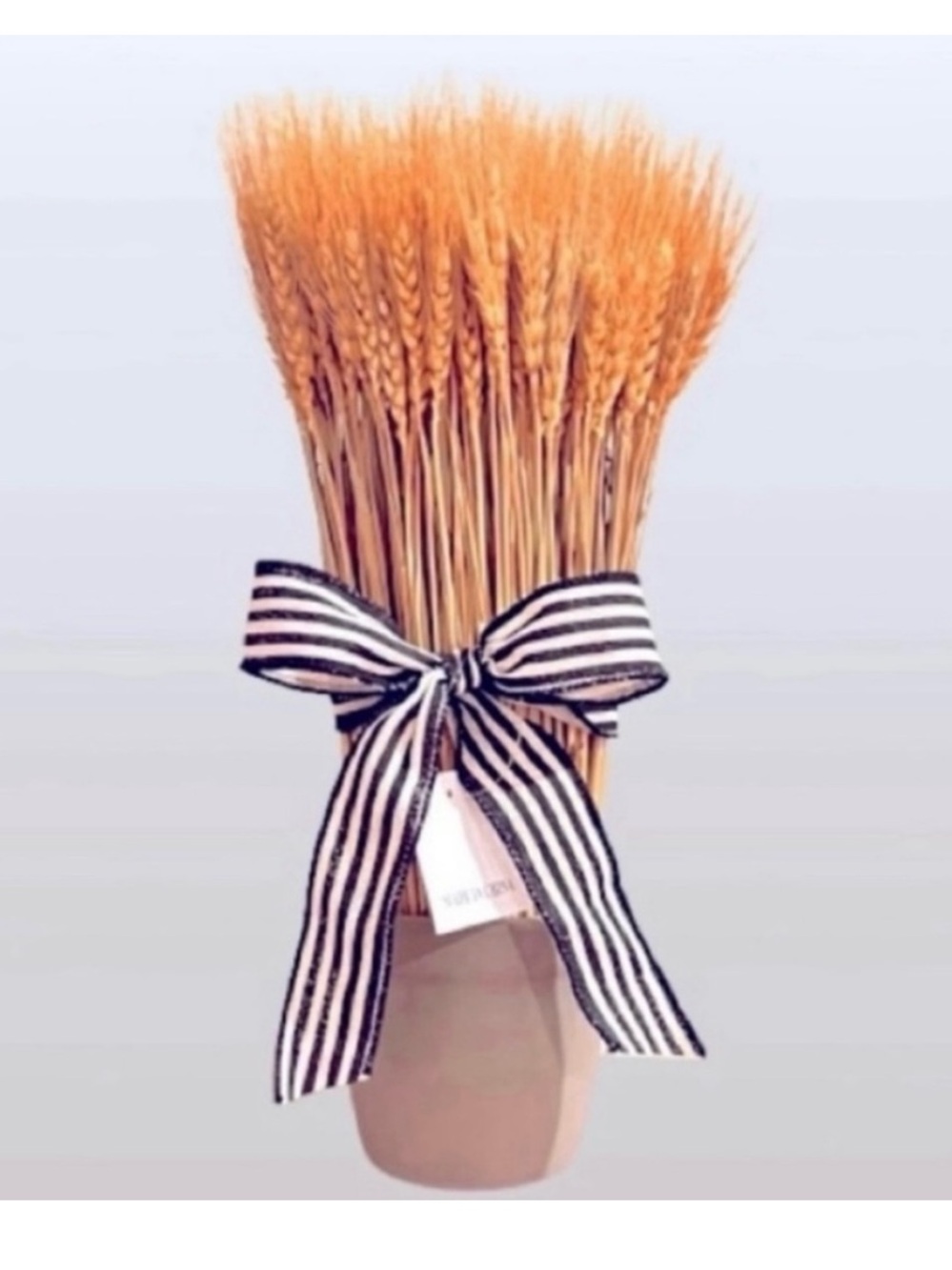🆕- Farmhouse Natural Wheat Bundle in Ceramic Container with Decorative Ribbon.